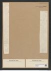Diatomeae indet. Zeichnungen Sammlung Grunow Nr. 8969 (NHMW-BOT-W0378659)